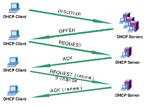 DHCP原理图