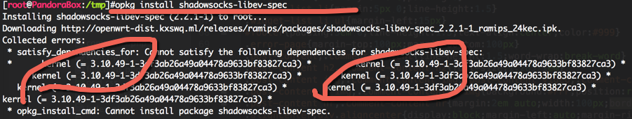 opkg install shadowsocks-libev-spec